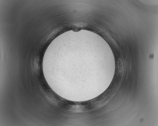 X0000116880212201001121329