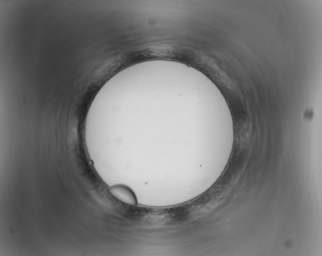 X0000116880213201001121329