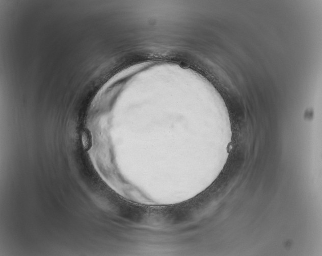 X0000116880215201001121329