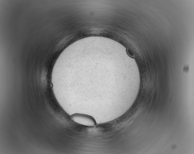 X0000116880216201001121329