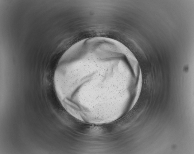 X0000116880218201001121329