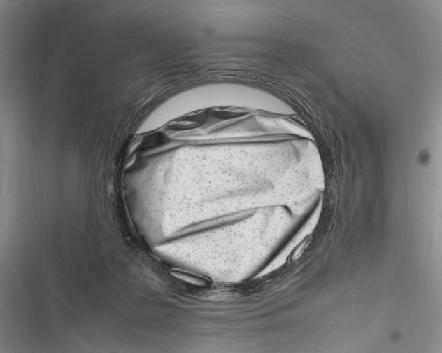 X0000116880219201001121329