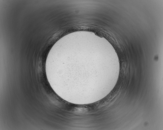 X0000116880220201001121329