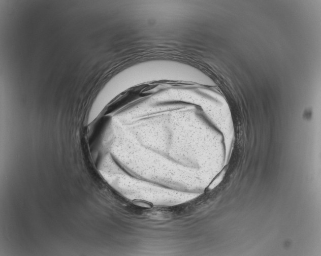 X0000116880221201001121329