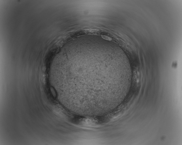 X0000116880223201001121329