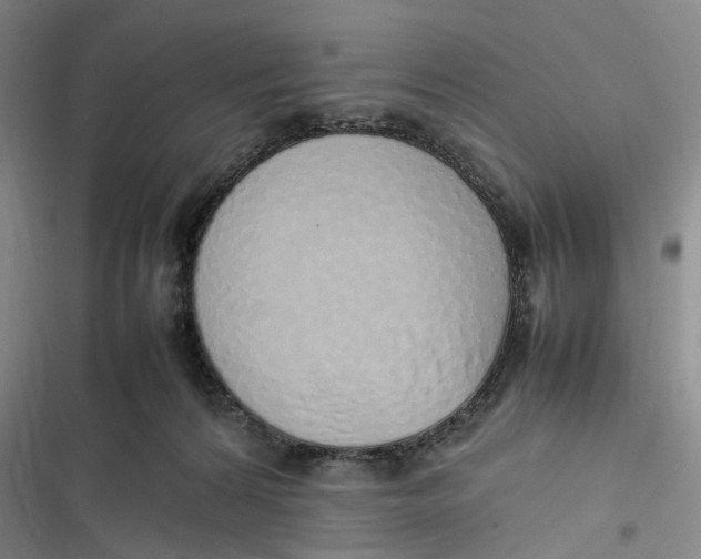 X0000116880224201001121329