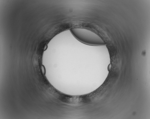 X0000116880225201001121329