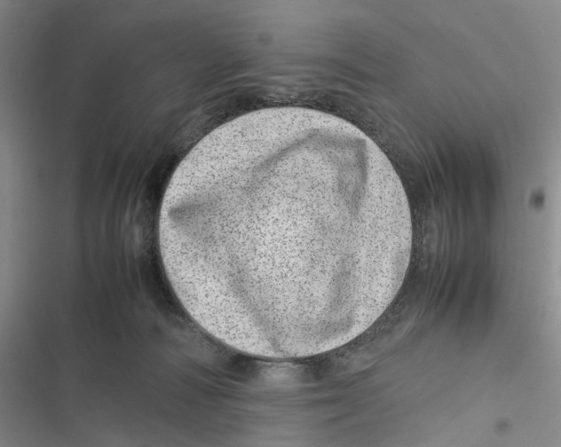 X0000116880226201001121329