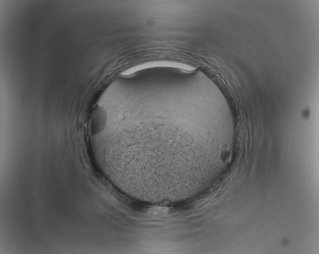 X0000116880227201001121329