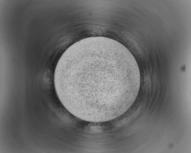 X0000116880228201001121329