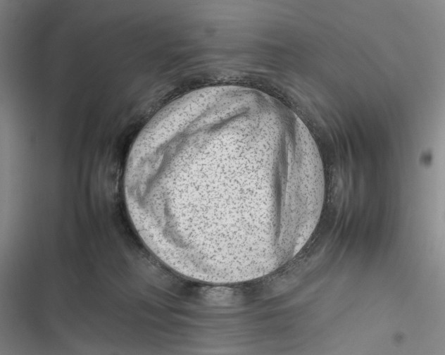 X0000116880230201001121329