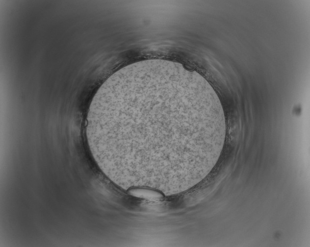 X0000116880231201001121329