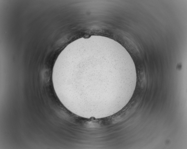 X0000116880232201001121329