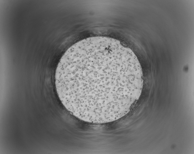 X0000116880233201001121329