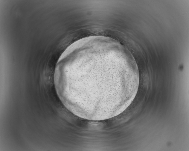 X0000116880234201001121329