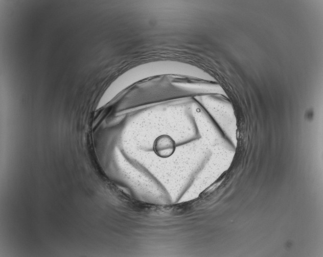 X0000116880235201001121329