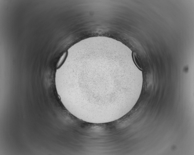 X0000116880236201001121329