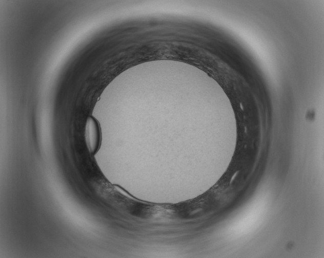 X0000116880239201001121329