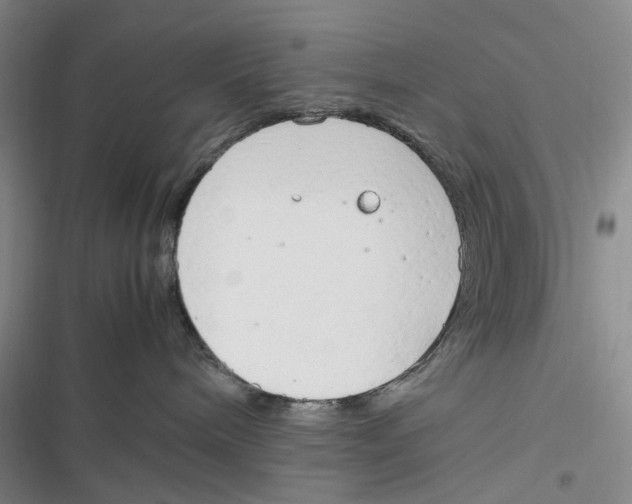 X0000116880240201001121329