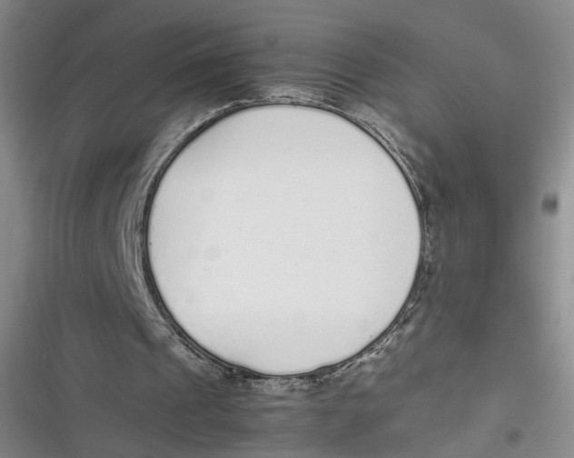 X0000116880241201001121328