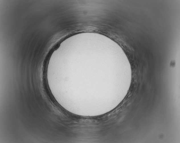 X0000116880242201001121328
