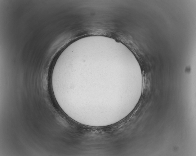 X0000116880243201001121328