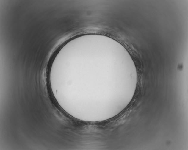 X0000116880244201001121328