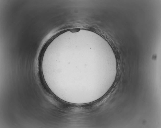 X0000116880246201001121328