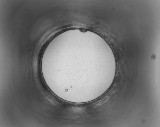 X0000116880247201001121328