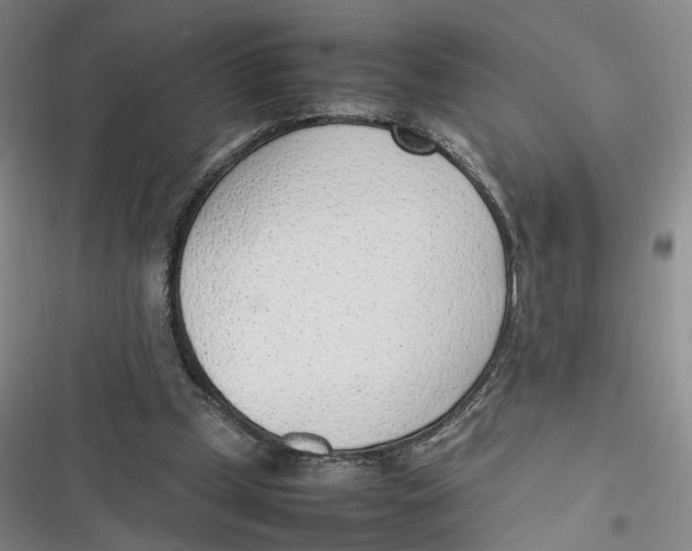 X0000116880249201001121328