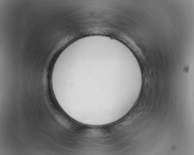 X0000116880250201001121328
