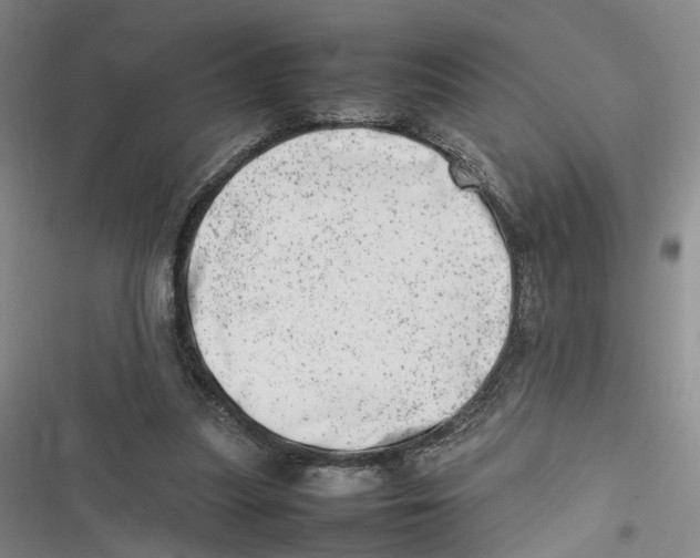 X0000116880251201001121328