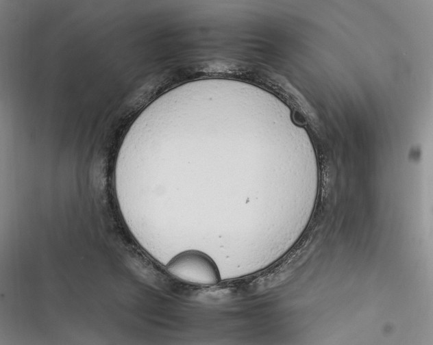 X0000116880257201001121328