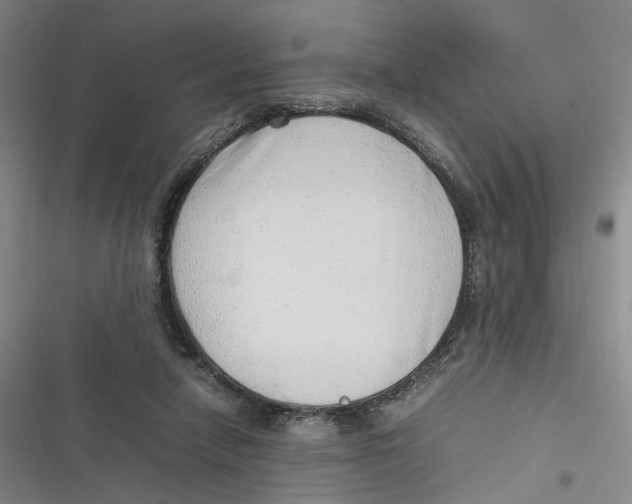 X0000116880258201001121328