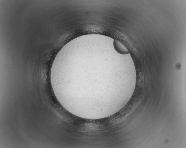 X0000116880259201001121328