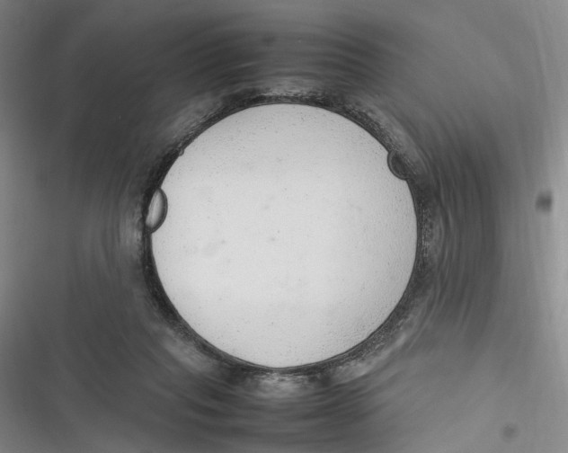 X0000116880261201001121328