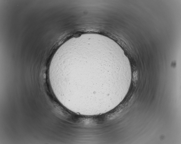 X0000116880264201001121329