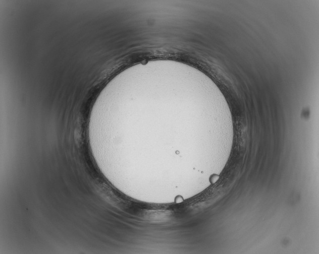 X0000116880266201001121329