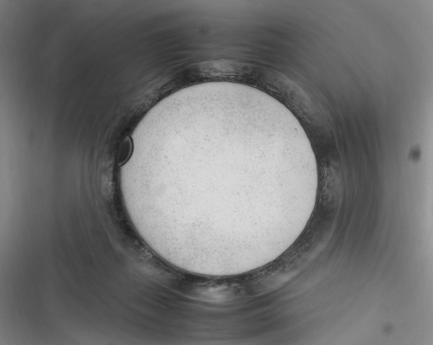 X0000116880267201001121329