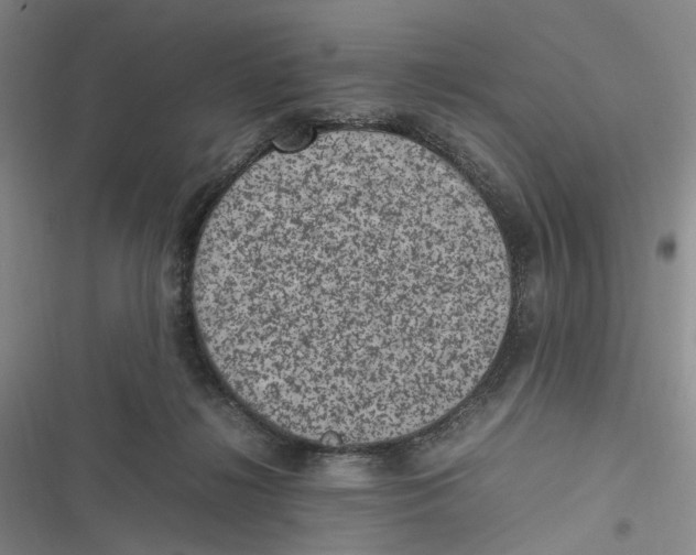 X0000116880268201001121329