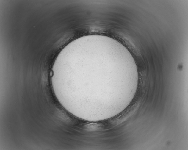 X0000116880269201001121329