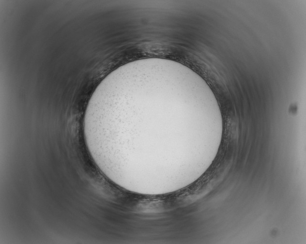 X0000116880271201001121329