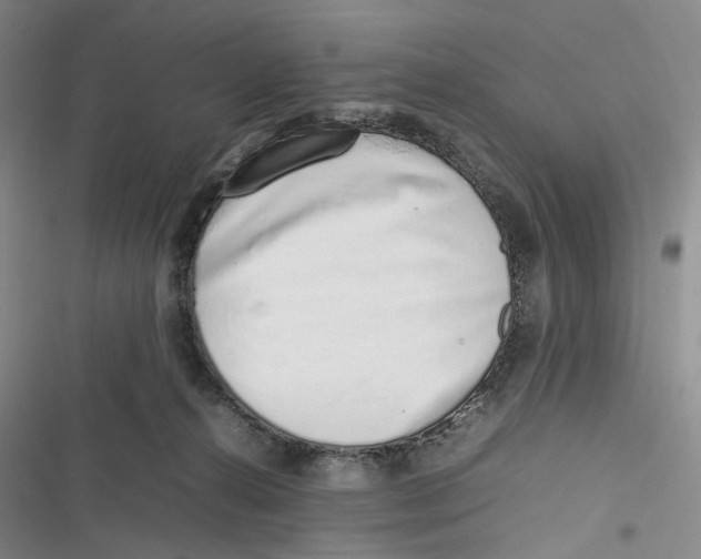 X0000116880272201001121329