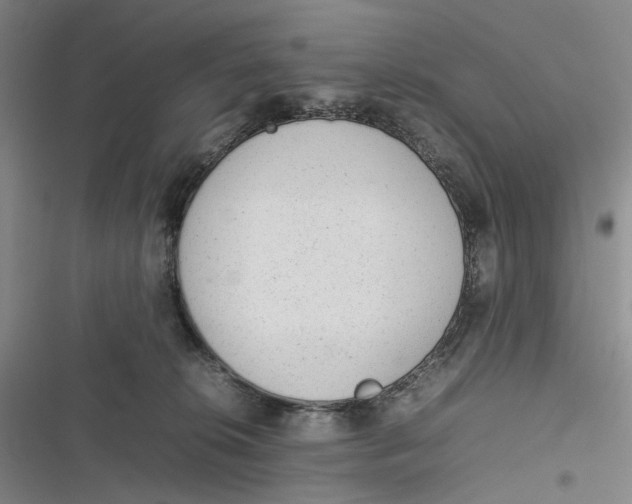 X0000116880276201001121329