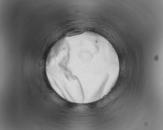 X0000116880278201001121329