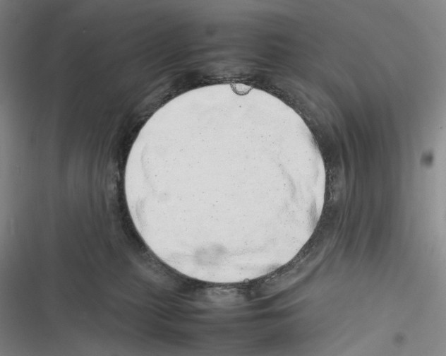 X0000116880279201001121329