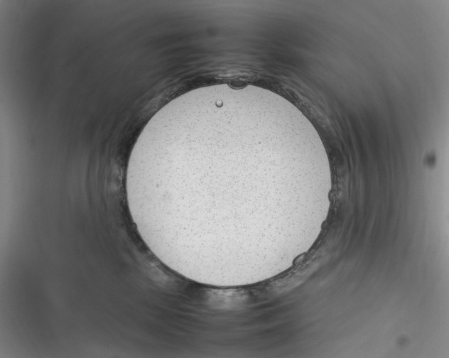 X0000116880281201001121329