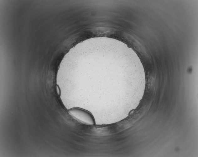 X0000116880283201001121329