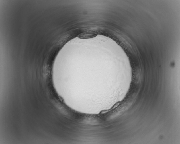 X0000116880284201001121329