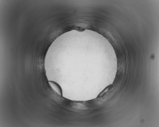 X0000116880285201001121329